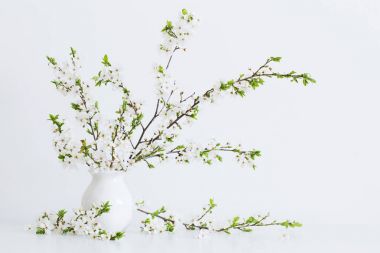 Vazoda beyaz bahar çiçekleri