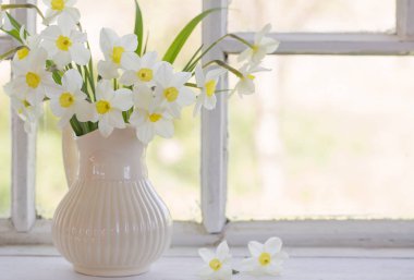 Nergis pencere üzerinde sürahi içinde