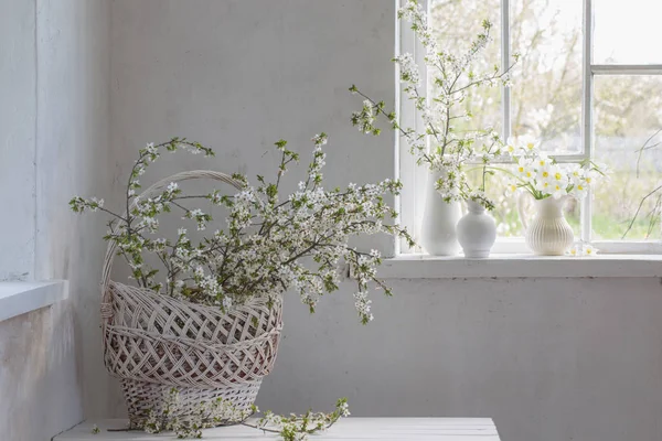 Ανοιξιάτικα λουλούδια σε λευκό εσωτερικό — Φωτογραφία Αρχείου
