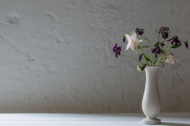 arka plan beyaz duvar eski üzerinde Vazoda Çiçekler