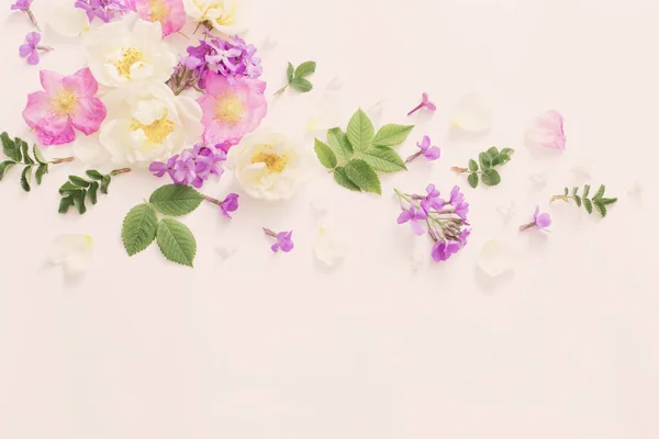 Fiori estivi su sfondo bianco — Foto Stock