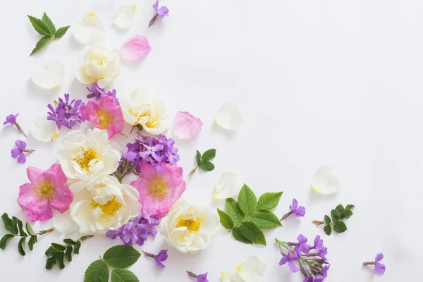 白い背景の上の夏の花 — ストック写真
