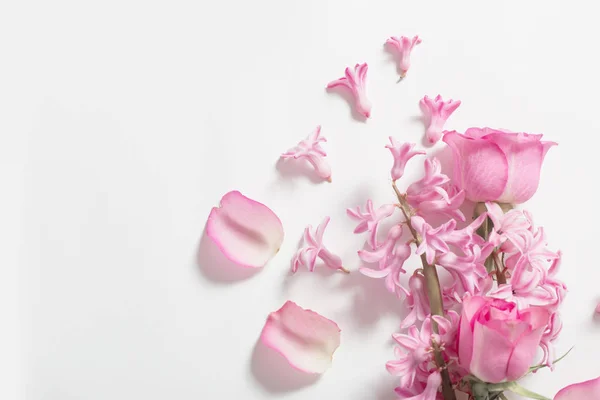 Flores cor de rosa no fundo branco — Fotografia de Stock