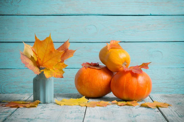 紅葉と青い木製の背景にカボチャ — ストック写真