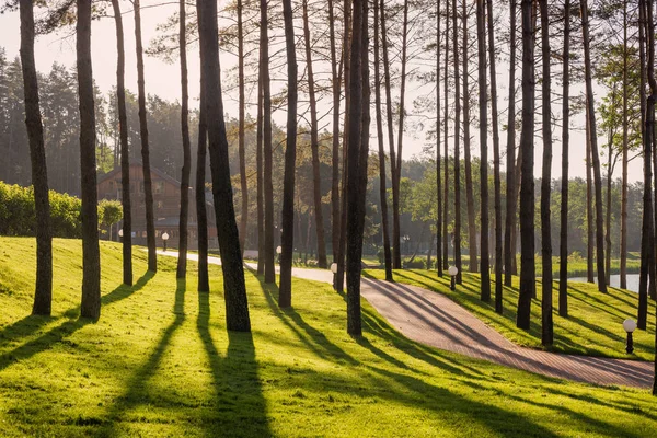 Mooie zonnige zomer landschap — Stockfoto