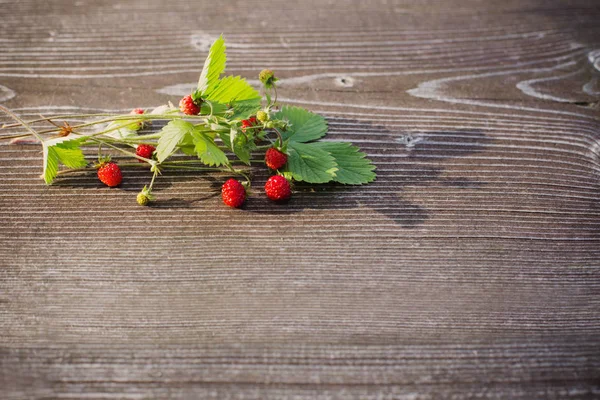 Erdbeere auf Holzgrund — Stockfoto