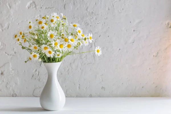 Kamille in vaas op witte achtergrond — Stockfoto