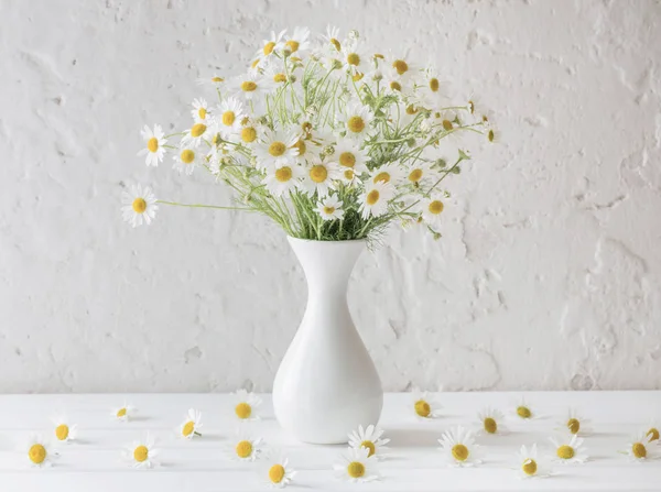 Camomille en vase sur fond blanc — Photo