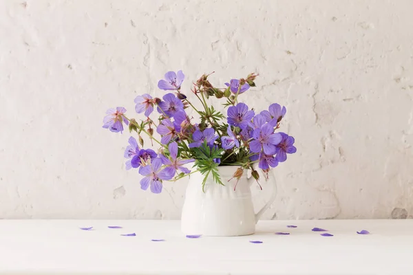 Flores em jarro no fundo branco — Fotografia de Stock