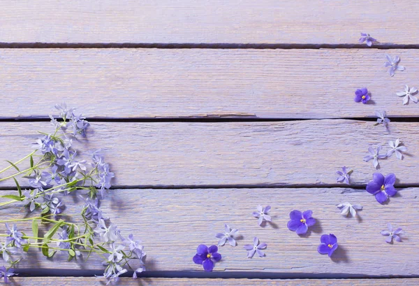 Spring flowers on wooden background — Stock Photo, Image