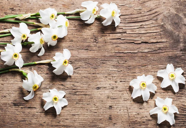 Narcis na dřevěné pozadí — Stock fotografie