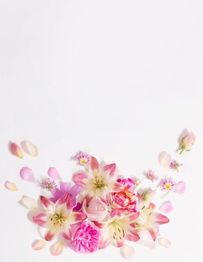 beyaz zemin üzerine yaz çiçek