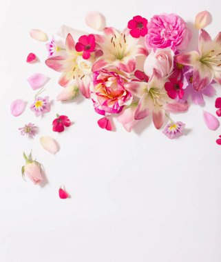 beyaz zemin üzerine yaz çiçek