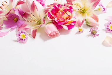 beyaz zemin üzerine yaz çiçek