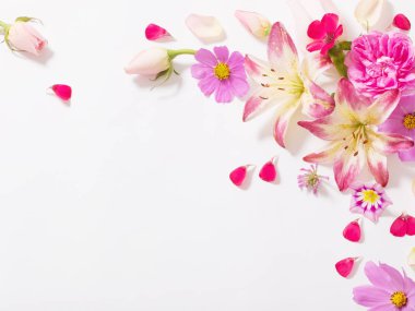 beyaz zemin üzerine yaz çiçek