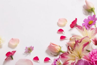 beyaz zemin üzerine yaz çiçek