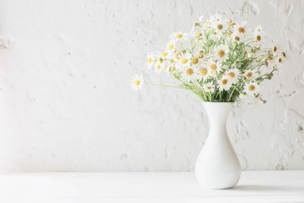 Camomila em vaso sobre fundo branco — Fotografia de Stock