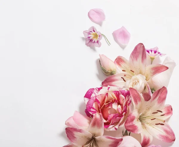 Flores de verano sobre fondo blanco — Foto de Stock