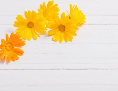 Beyaz ahşap masa Calendula (kadife çiçeği) bitkisel çay