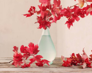 Cam vazo içinde sunulan kartopu dalları