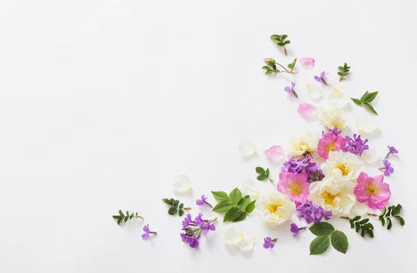 Sommerblumen auf weißem Hintergrund — Stockfoto