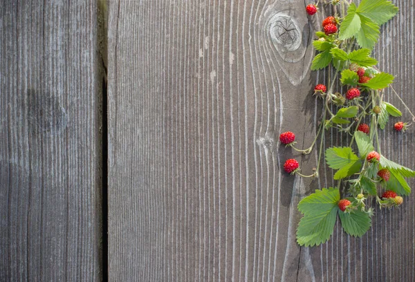 Erdbeere auf Holzgrund — Stockfoto