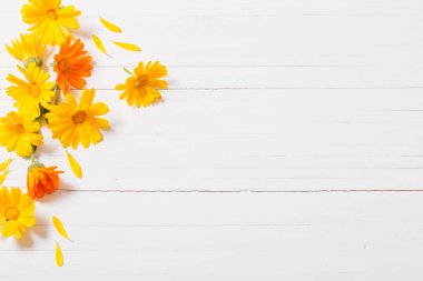 Beyaz ahşap masa Calendula (kadife çiçeği) bitkisel çay