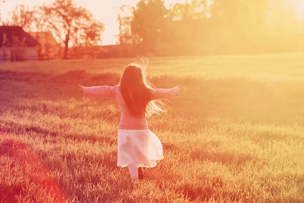 Šťastná dívka na letním poli při západu slunce — Stock fotografie