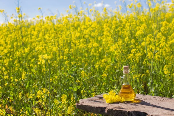 Rapeseed oil (canola) on background field and sky — Stock Photo, Image