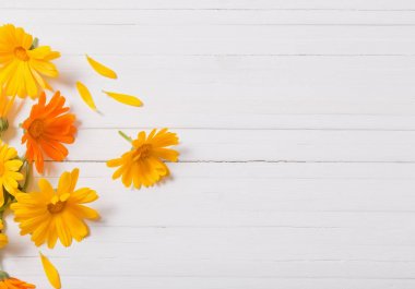 Beyaz ahşap masa Calendula (kadife çiçeği) bitkisel çay