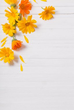 Beyaz ahşap masa Calendula (kadife çiçeği) bitkisel çay