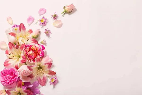 207,600+ Pink Flowers On White Stock Photos, Pictures & Royalty-Free Images  - iStock