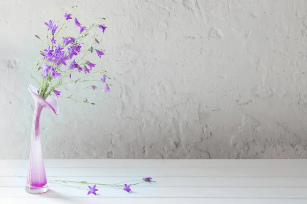 Bluebell in wase on white background — Stock Photo, Image