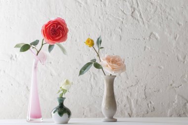 Vazodaki güller eski beyaz arka planda