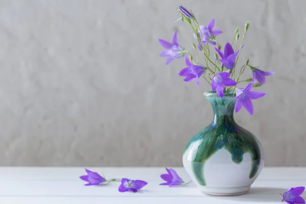 蓝铃花在白色背景上的花瓶 — 图库照片