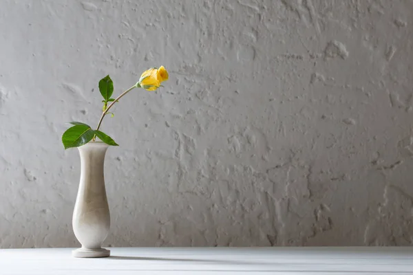 Rosas em vaso no fundo branco velho — Fotografia de Stock