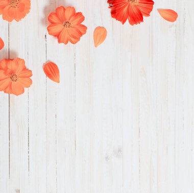 Beyaz ahşap zemin üzerinde turuncu yaz çiçek