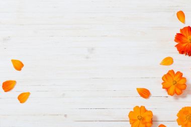 Beyaz ahşap zemin üzerinde turuncu yaz çiçek