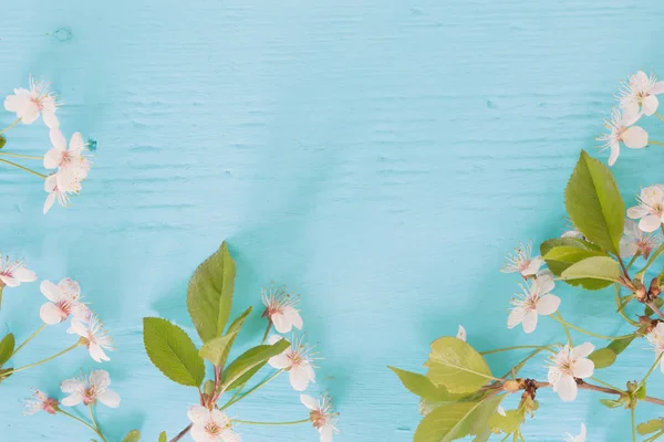 çiçekleri kiraz ahşap arka plan üzerinde