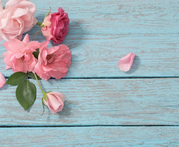 Hermosas rosas sobre fondo azul de madera vieja — Foto de Stock