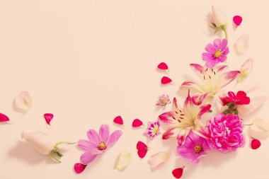 beyaz zemin üzerine yaz çiçek