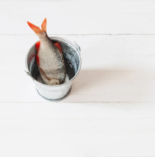 River raw fish on wooden table — Stock Photo, Image