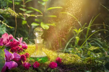 Magic potion in bottle in forest clipart