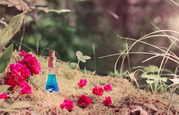 Poción mágica en botella en el bosque — Foto de Stock