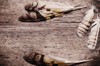 Ahşap arka plan üzerinde bir kuş tüyleri