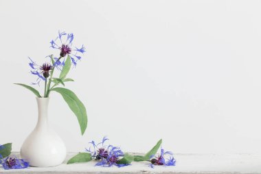 Vazoda beyaz zemin üzerine Peygamber Çiçeği