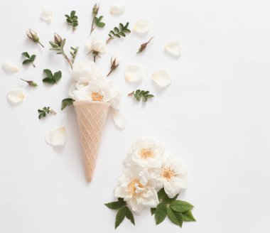 Beyaz arkaplanda güller