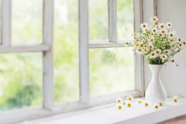 Chamomile in vase on windowsill — Stock Photo, Image