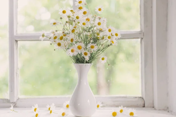 窓辺の花瓶のカモミール — ストック写真