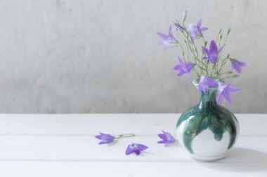 Bluebell beyaz arka plan üzerinde wase içinde